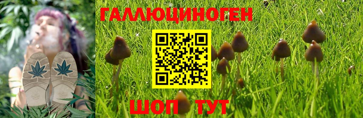 Галлюциногенные грибы мухоморы Ноябрьск
